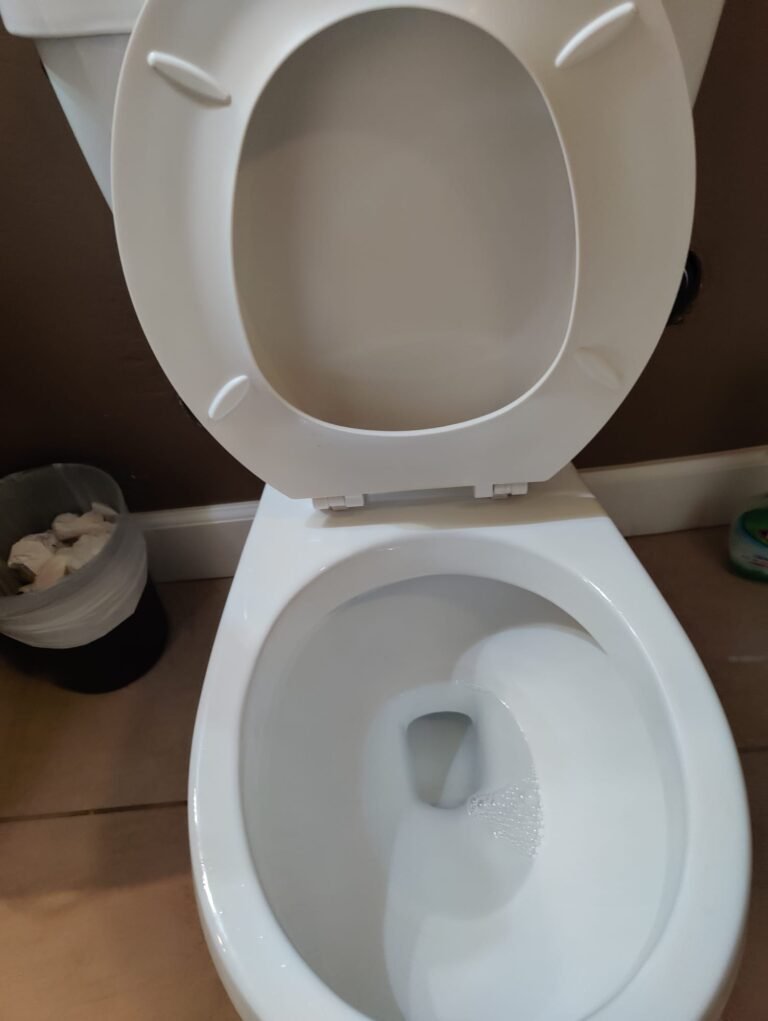 Toilet (2) - After-min
